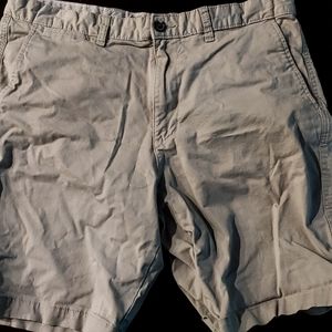 Men's Size 36 Shorts